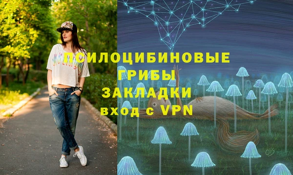 гашик Алзамай