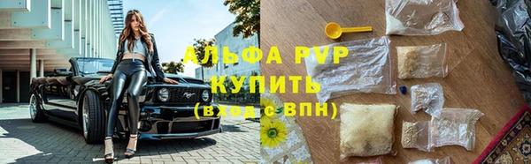винт Арсеньев