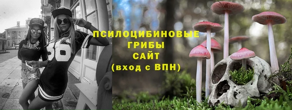 винт Арсеньев