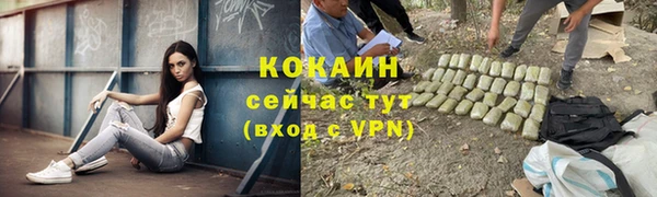 кокс Армянск