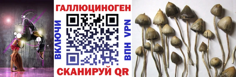 Галлюциногенные грибы GOLDEN TEACHER  закладка  hydra ссылки  Котельниково 